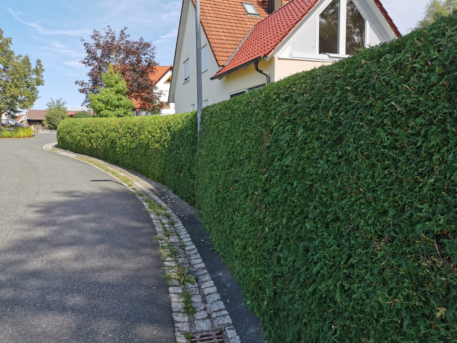 Heckenschnitt