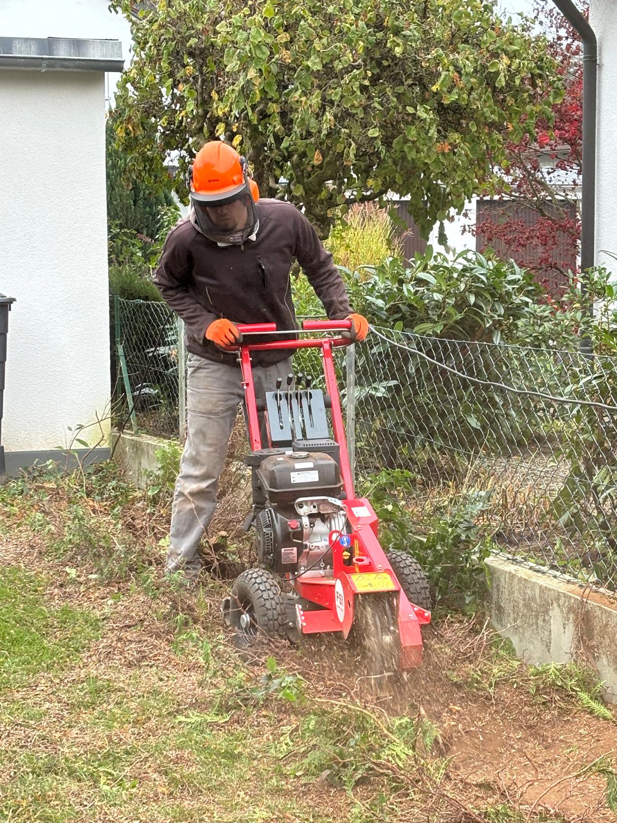 Wurzelstockfräsung